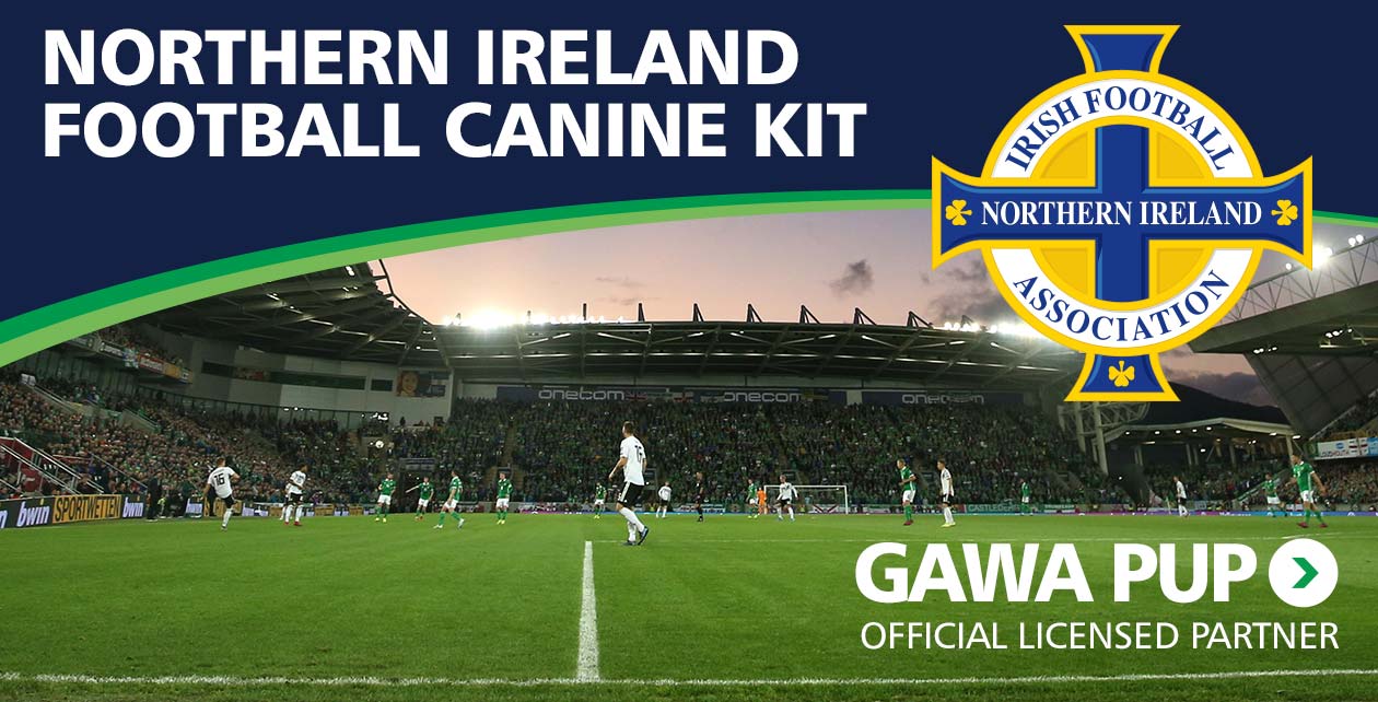 Northern Ireland Football Canine Kit