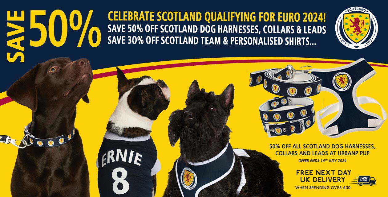 Scotland Football Canine Kit