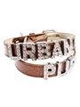 Glitter Brown Personalised Dog Collar (Diamante Letters)